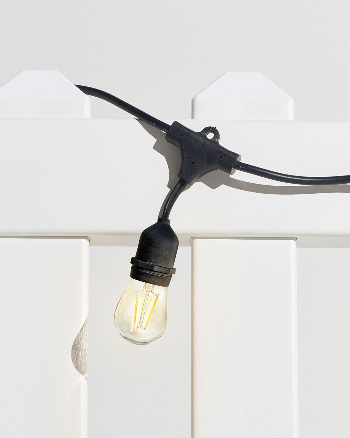 Ambience Pro LED Plug-in String Lights 1W