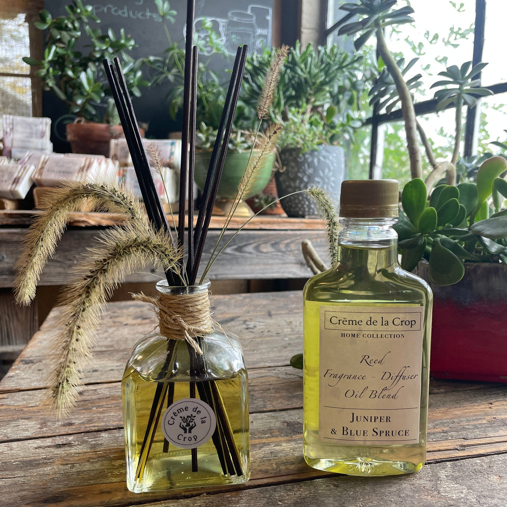 Creme de la Crop Juniper Blue Spruce Reed Diffuser Kit or Refill