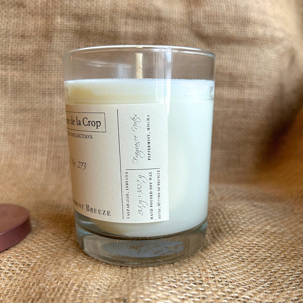Creme de la Crop Peppermint Breeze Mocha Soy Candle 13.5 oz